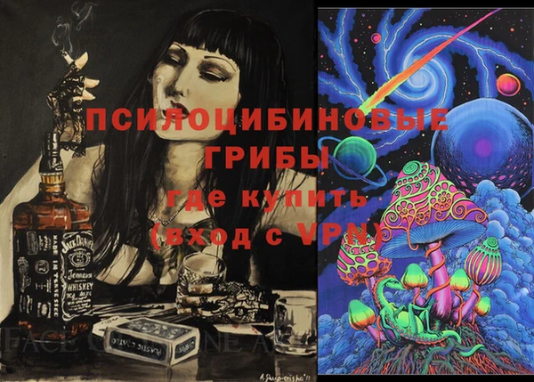 стаф Баксан