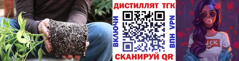 ТГК Wax  ссылка на мегу сайт  Новотроицк  хочу наркоту 